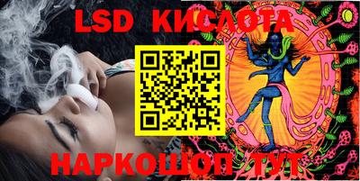 амф Гусев